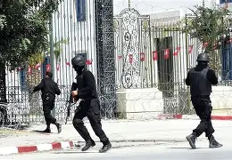 后翼弃兵第二季