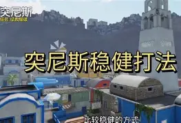 后翼弃兵第二季